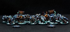 Pro Painted Blood Bowl Dwarf Team