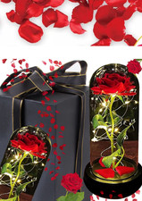 LED Ewige Rose im Glas Rot