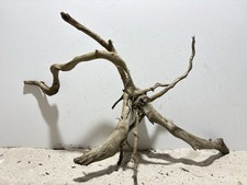 Dunkle Moorwurzel XL Aquariumwurzel, Mangrove, #568 L54 x T20 x H34 cm