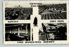 13022630 - Armada Cream -