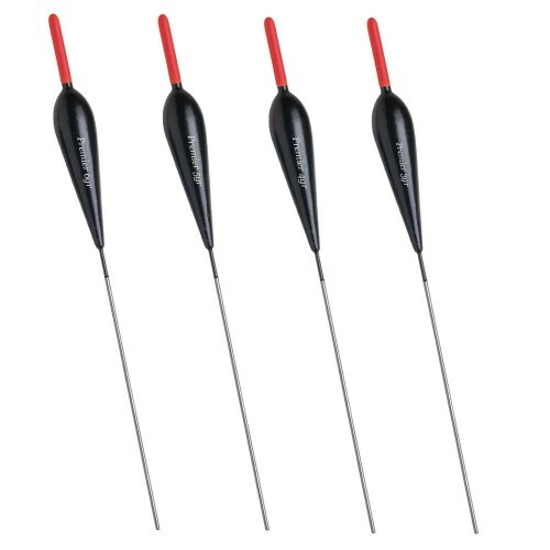Premier schwimmer bologneser - premier,