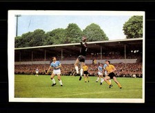 Borussia Dortmund TSV 1860