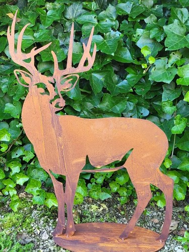 Edelrost hirsch konrad - hirsch,