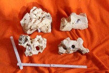 🌟 Lochgestein Felsen  Naturstein Aquarium Lochstein Kalkstein Aquascaping 4