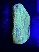 Wunderschönes Großes