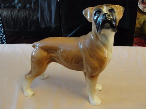 Sehr schöne boxer - schÖne, hund