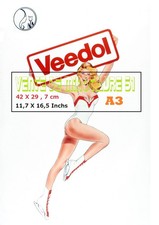 Veedol Virgin Pin Up -