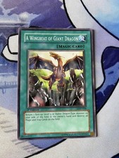 A Wingbeat Of Giant Dragon