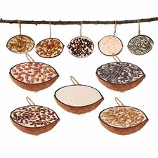 10 gefüllte halbe Kokosnüsse