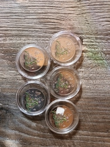 5 euro sammlermünzen - 5,