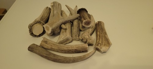 Hundeknochen hundesnacks - hundeknochen,