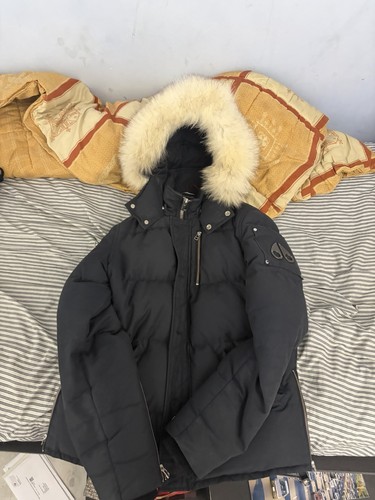 Moose knuckles winterjacke - moose,