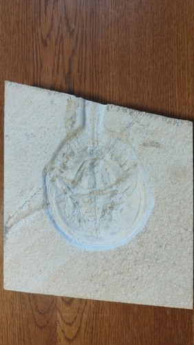 Fossilien solnhofen - fossilien,