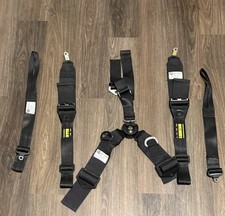 Schroth 7-Point Harness