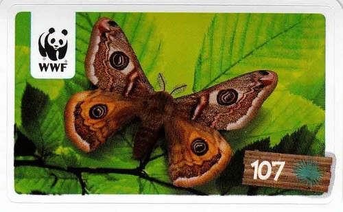 Rewe wwf tier abenteuer - rewe,