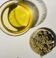 Griechischer Bergtee BIO -