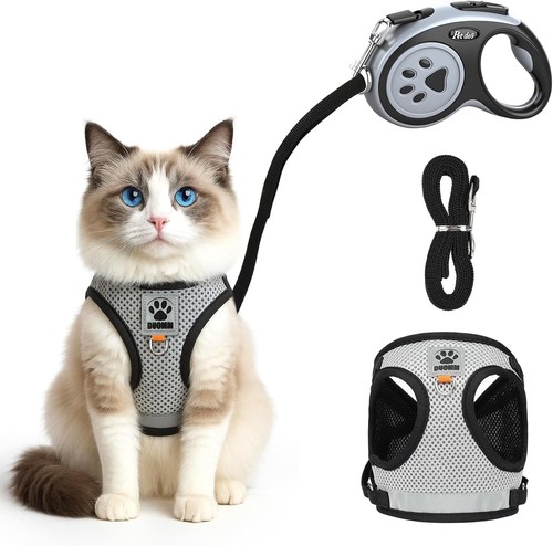 Katzen geschirr set mit - katzen,