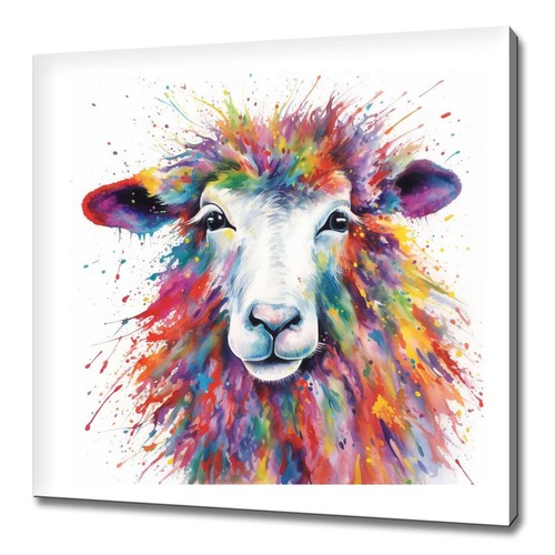 Schaf widder buntes aquarell - buntes,