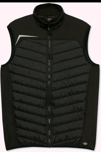 Dickies herren jacke - dickies,