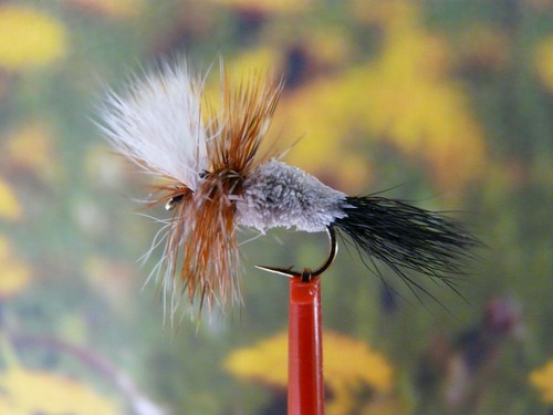 Trockenfliege irresistible - trockenfliege, "