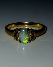 Australischer halbschwarzer