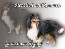 SHELTIE Hundeschild