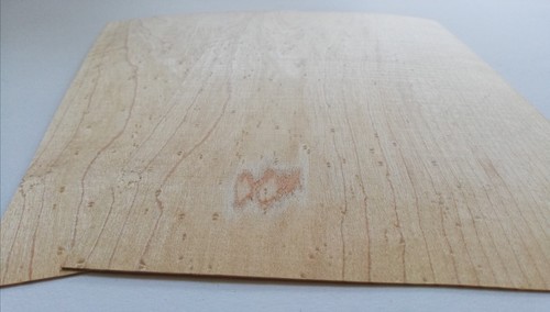 Blatt ahorn mapel - 2,