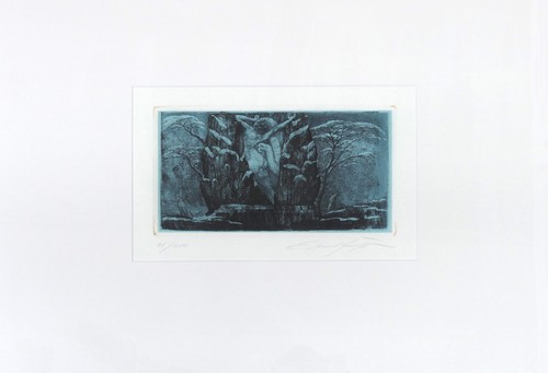 Ernst fuchs das gefängnis - ernst,