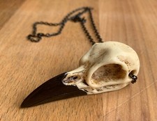 Kette Schädel Rabenschädel