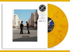 Pink Floyd "wish you were