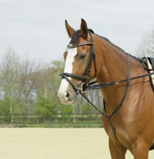 Thiedemann-Kombination Busse