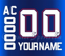 Adler Mannheim Customized