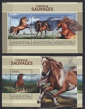 Guinea 2013 pferde - 2013,