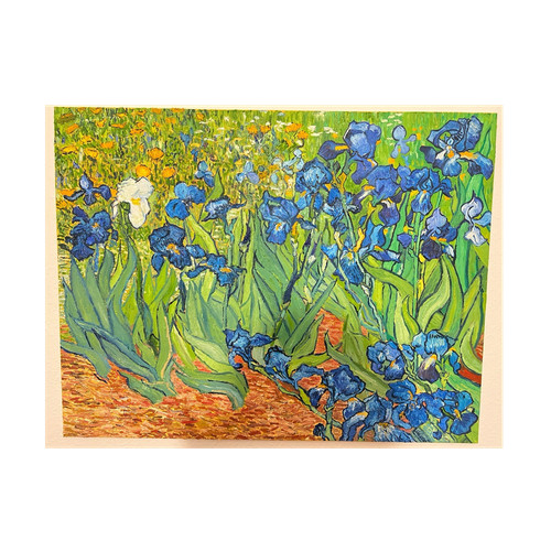 Van gogh iris blumen - gogh,