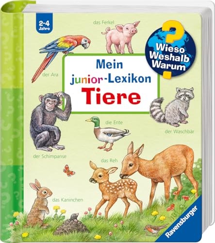 Mein junior lexikon tiere - junior-lexikon,