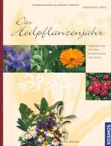 Das heilpflanzenjahr - das,