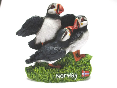 Puffin papageientaucher vogel - puffin,
