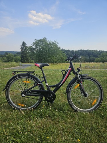 Fahrad pegasus zoll - pegasus,