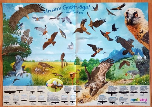 Wissens poster unsere - wissens-poster,