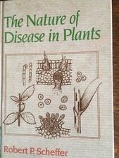 Die Natur der Krankheit in