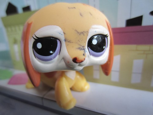 Littlest pet shop hasbro - shop, (lps)