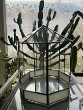 Glas Haus Gewächshaus Tiffany Sukkulenten Kakteen Vintage Deko Viktorianisch rar