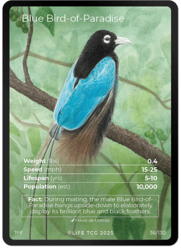 Life tcg birds blue - birds,