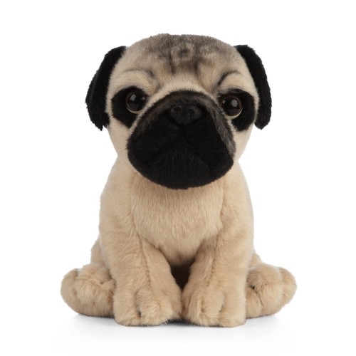 Titel realistisches mops - titel:,