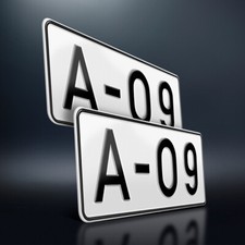 2 Kennzeichen | Alte DIN 1451 | 300 x 110 mm | Ohne EU-Feld | Nummernschilder