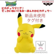 Pikachu Manie! Großes