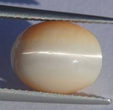 OPAL - KATZENAUGE            3,64 ct