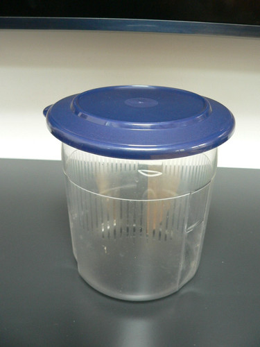 Tupperware tafelperle pikantus - tupperware,