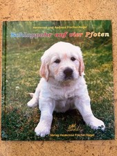 Geschenkbuch Golden Retriever