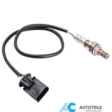 Lambdasonde nach Kat